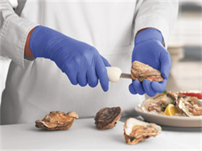 What kind of disposable gloves are good for the food industry？