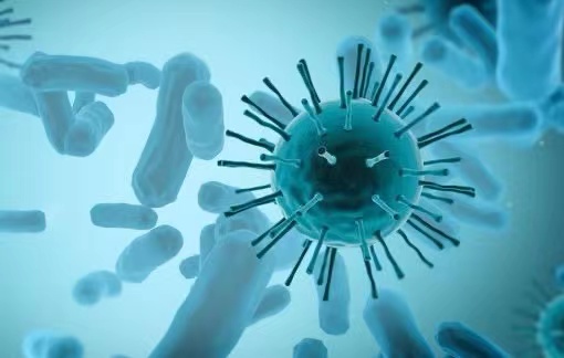 ZunyouWu : Monkeypox epidemic will not cause large-scale epidemic in China.  